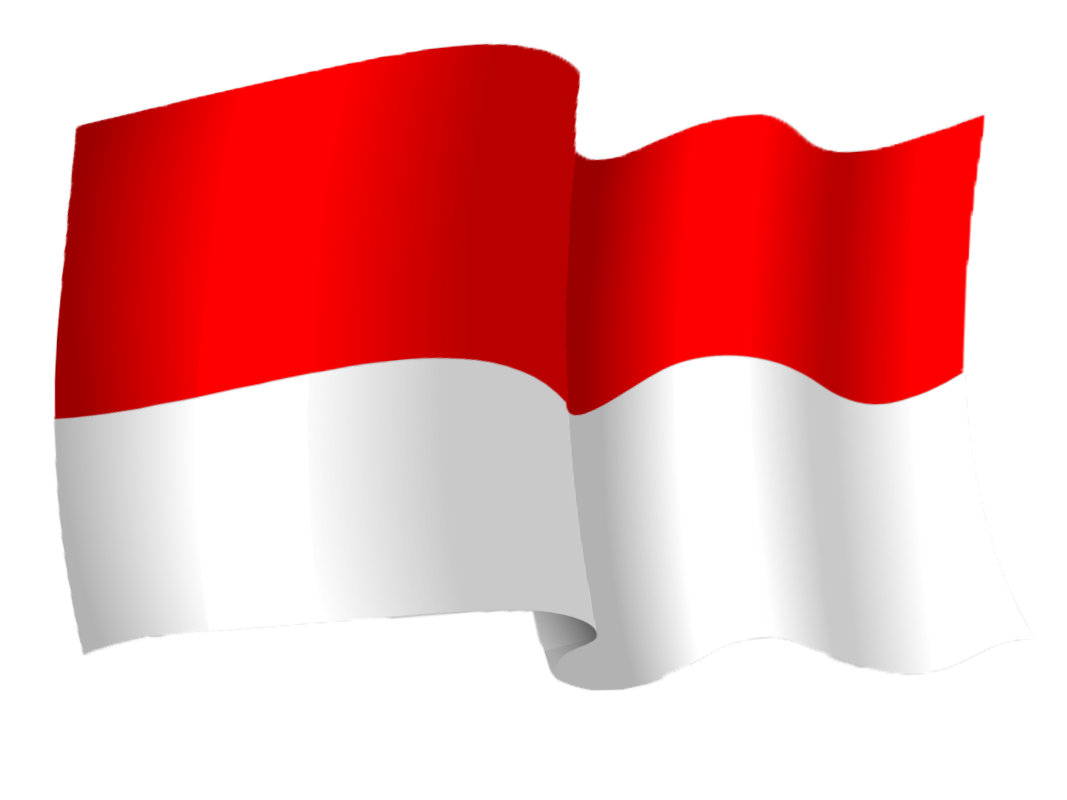 Economical IPTV Service in Indonesia